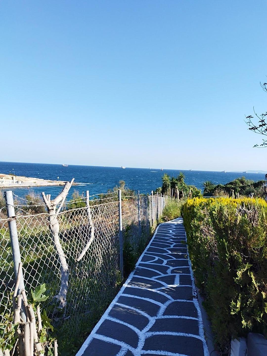 Kynosoura'S Sea View Apartment Ambelakia Ngoại thất bức ảnh