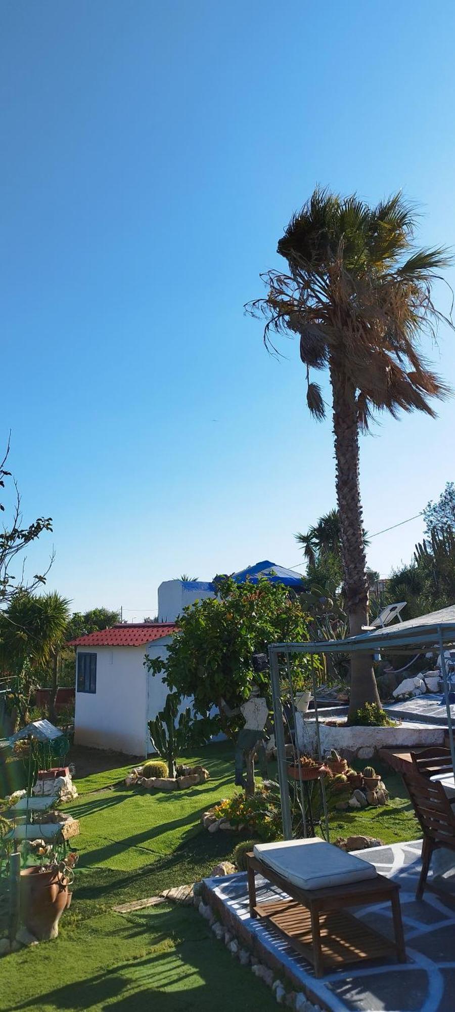 Kynosoura'S Sea View Apartment Ambelakia Ngoại thất bức ảnh